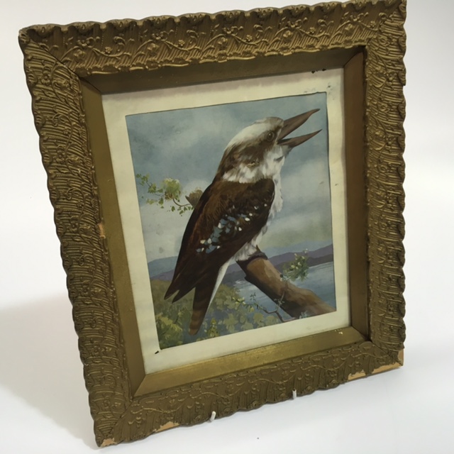 PIC, Kookaburra In Gold Frame